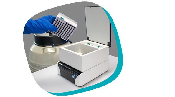 Image is not available